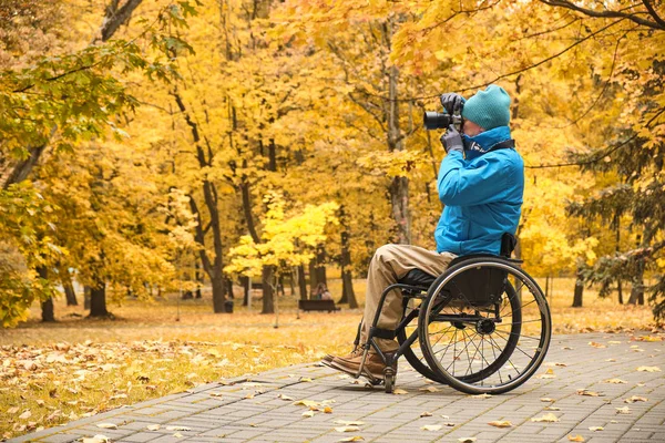 Wheelchair - disabled photographer in autumn park ロイヤリティフリーのストック写真