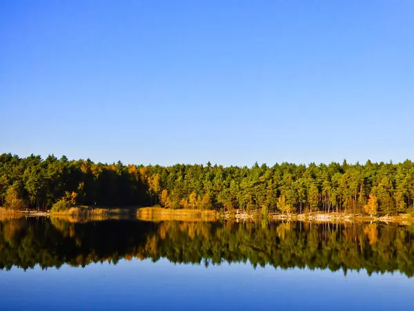 Autumn forest reflecting on water surface, Pilsen, Czech Republic