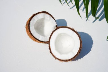 Doğrudan güneş ışığında beyaz arka plan üzerinde yarıya olgun hindistan cevizi, sağ üst köşesinde tropikal yaprak ile.