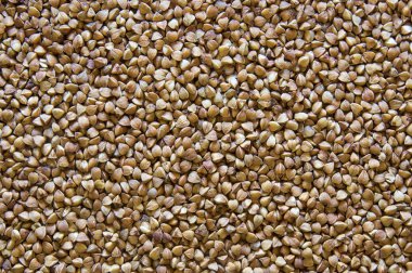 arka plan doku karabuğday tahıl