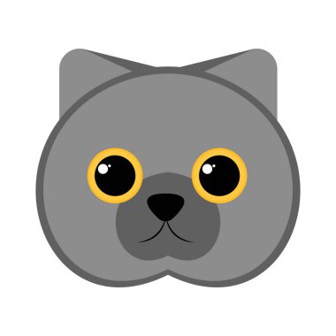 İzole şirin kedi avatar