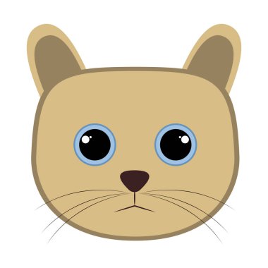 İzole şirin kedi avatar