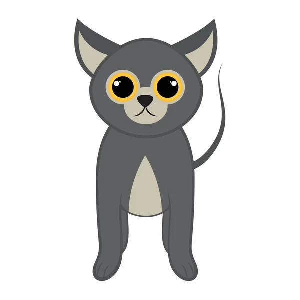 孤立したかわいい猫 — ストックベクタ
