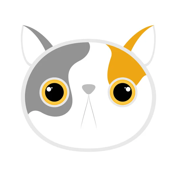 Avatar gatto carino isolato — Vettoriale Stock
