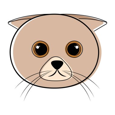 Şirin kedi avatar kroki