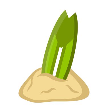 Kum simgesini izole sörf tahtası