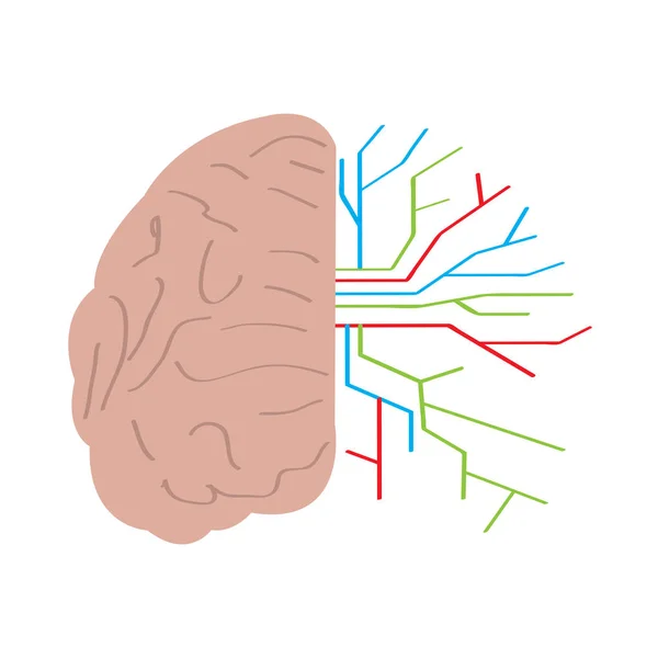 Icono Aislado Red Cerebral Inteligencia Artificial Diseño Ilustración Vectorial — Vector de stock