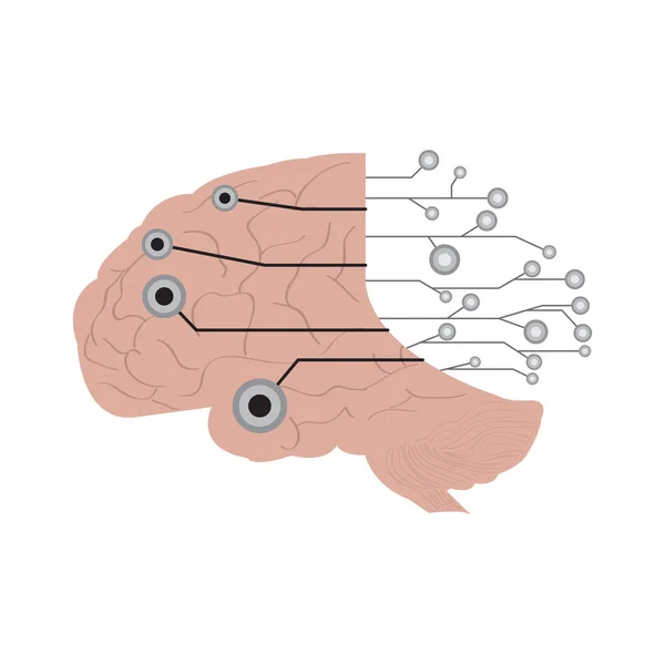 Icono aislado de la red cerebral. Inteligencia artificial — Vector de stock