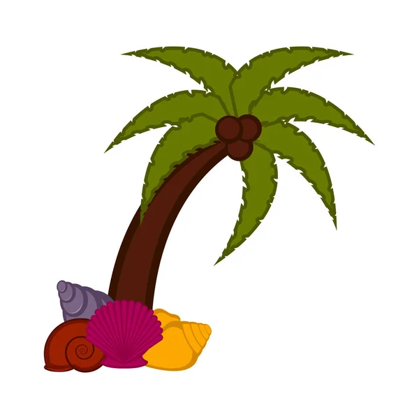 Kokosová palma s mušlemi — Stockový vektor