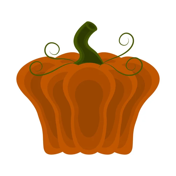 Colored halloween pumpkin icon — Stock Vector