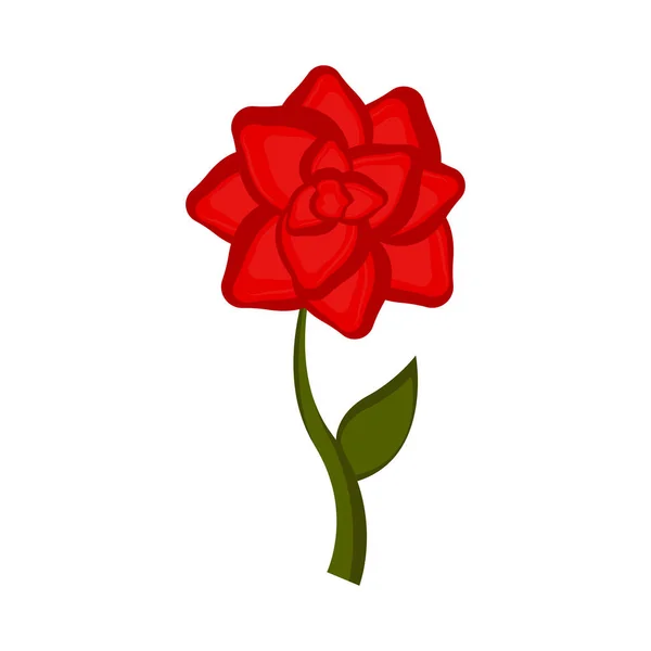 Isolierte Rosenblütenikone — Stockvektor