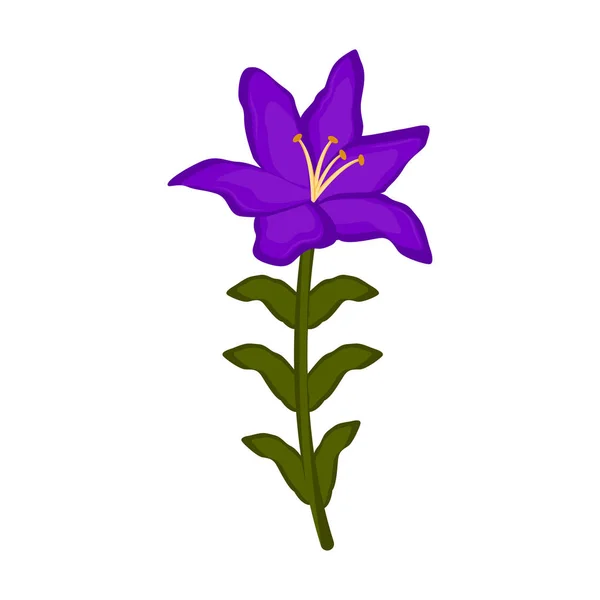 Geïsoleerde orchideebloem pictogram — Stockvector