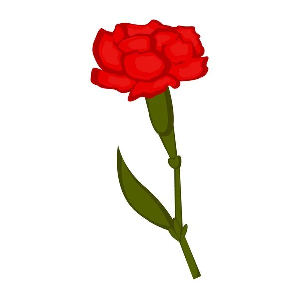 Geïsoleerde carnation bloem pictogram — Stockvector