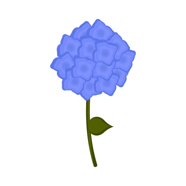 Icono de flor de hortensia aislada — Archivo Imágenes Vectoriales