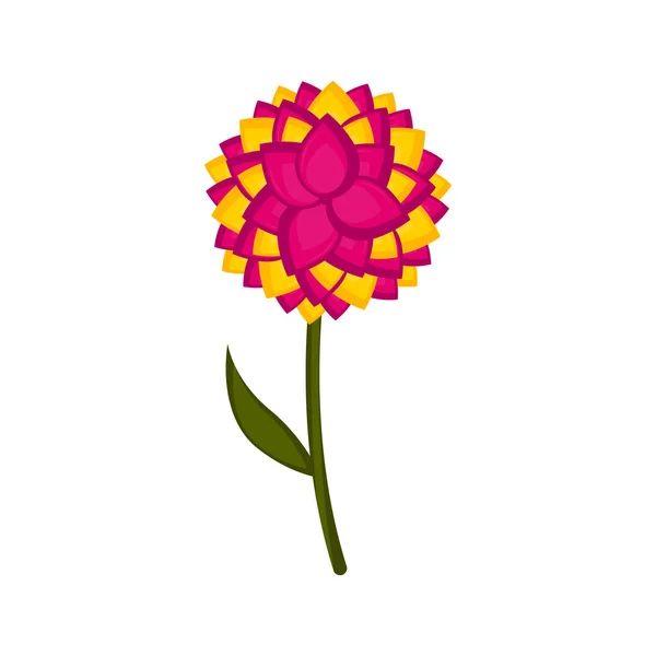 Ізольована мила квітка значок — стоковий вектор