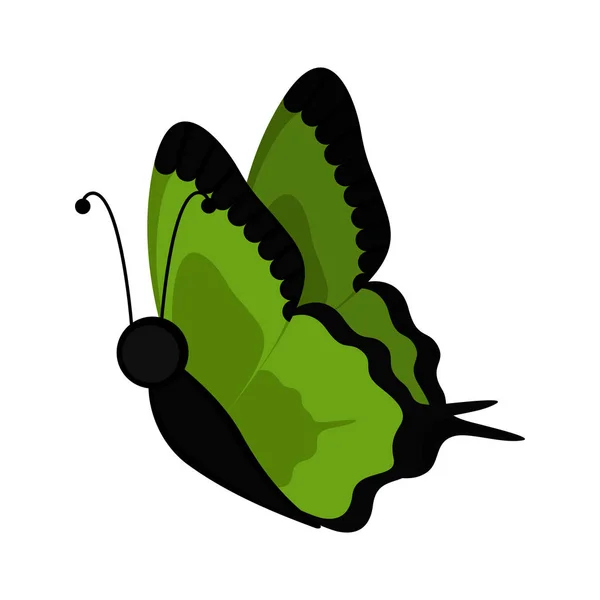 Isoliert niedlichen Schmetterling Symbol — Stockvektor