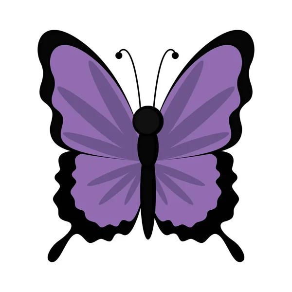 Isoliert niedlichen Schmetterling Symbol — Stockvektor