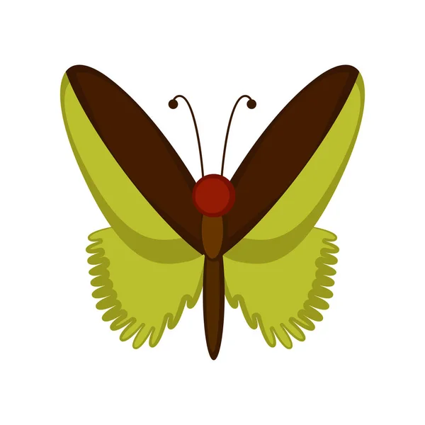 Isoliert niedlichen Schmetterling Symbol — Stockvektor