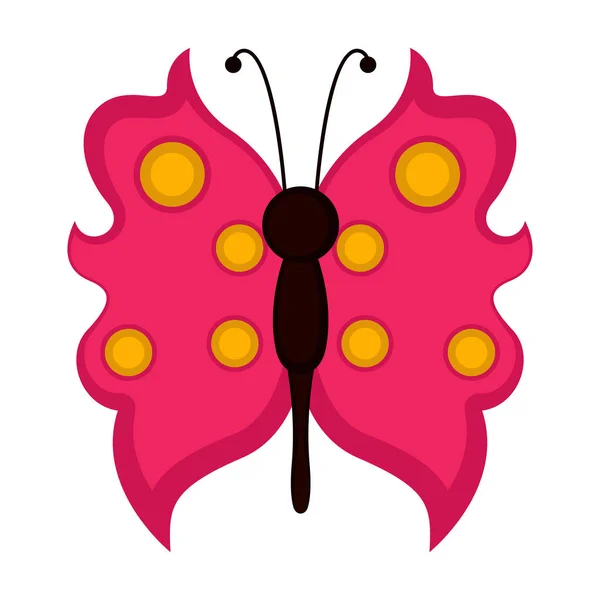 Isolato carino farfalla icona — Vettoriale Stock