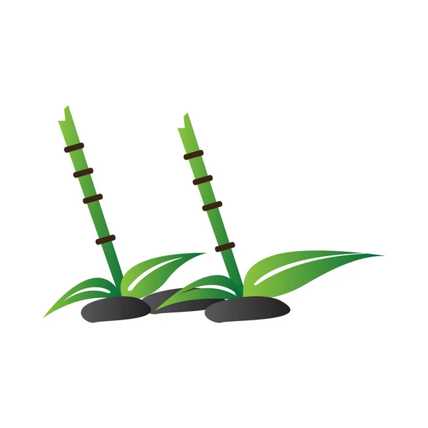 Símbolo de bambú aislado. Logotipo del spa abstracto — Vector de stock