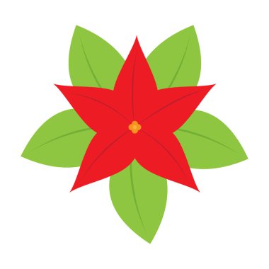 İzole Noel çiçek simgesi