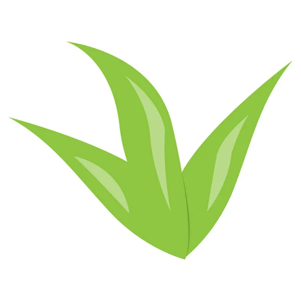 Isolerade gröna alger — Stock vektor