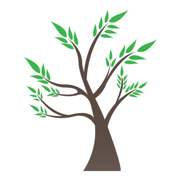 Isolerat bonsaiträd — Stock vektor