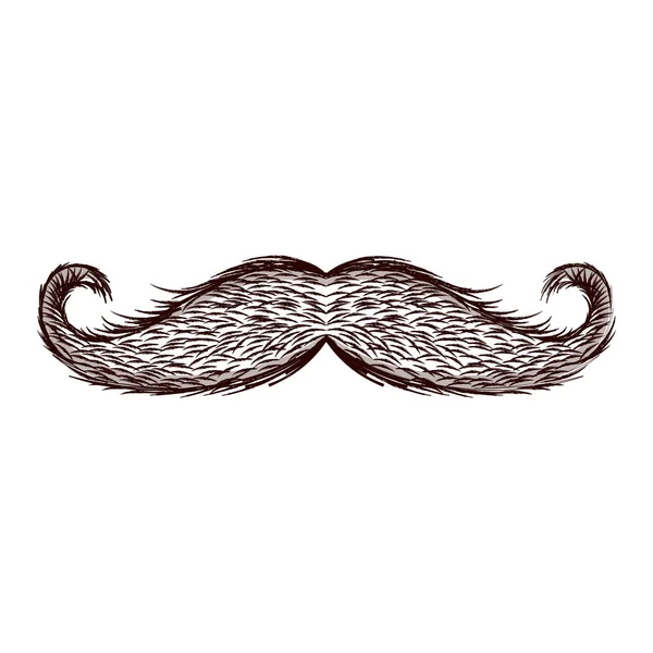 Croquis isolé de moustache — Image vectorielle