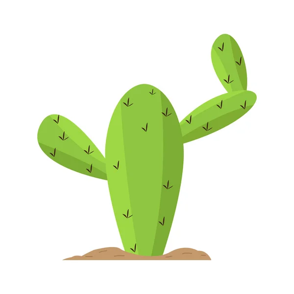 Isolated green cactus — Stock Vector