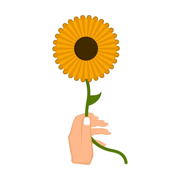 Mano che tiene un girasole — Vettoriale Stock