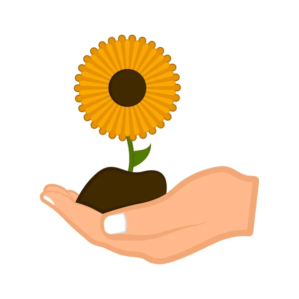 Hand met een zonnebloem — Stockvector