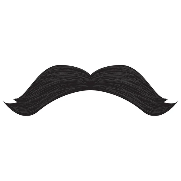 Moustache détaillée isolée — Image vectorielle