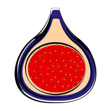 Kesilmiş bir incir izole kroki