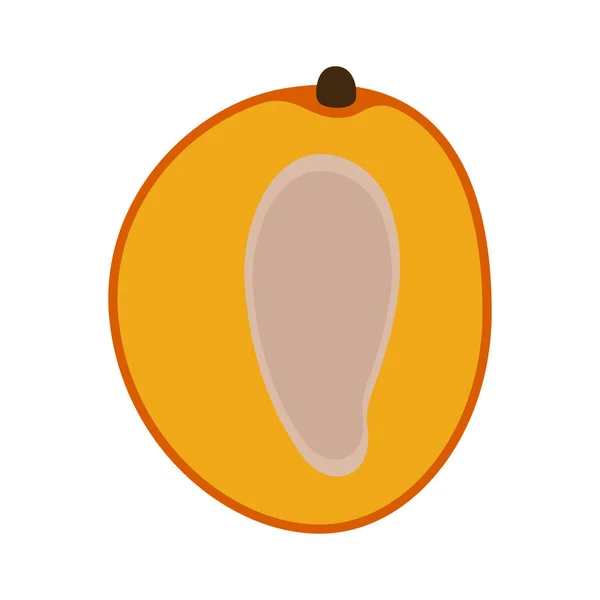 Samostatný řez mango — Stockový vektor