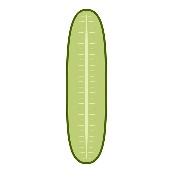 Concombre coupé isolé — Image vectorielle
