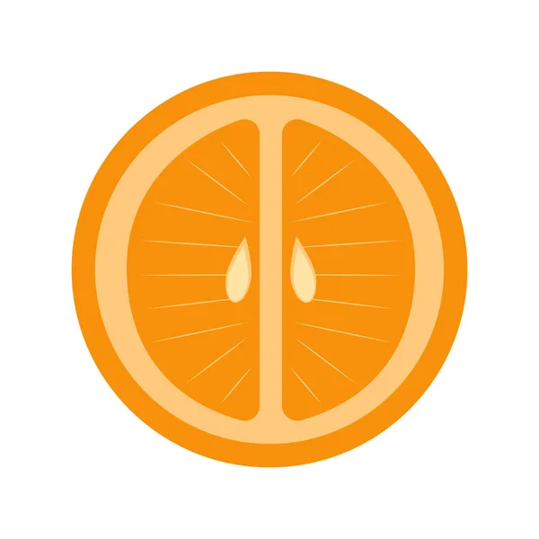 Isolated cut orange — Stock Vector