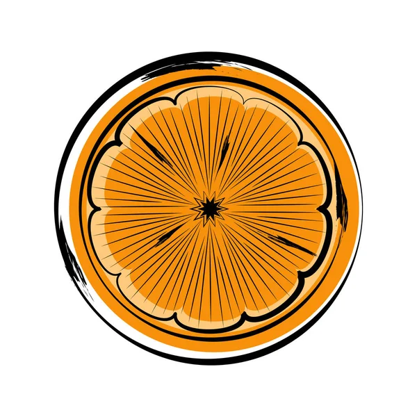 Рисунок вида спереди среза апельсина — стоковый вектор
