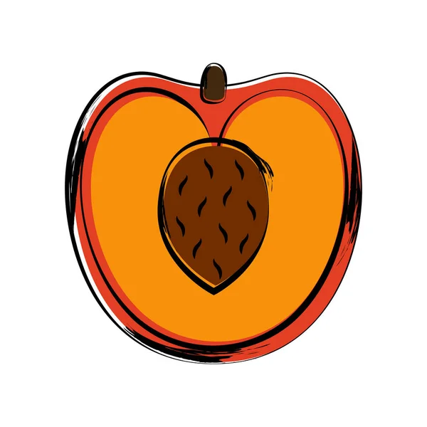 Isolated sketch of a cut peach — Stock Vector