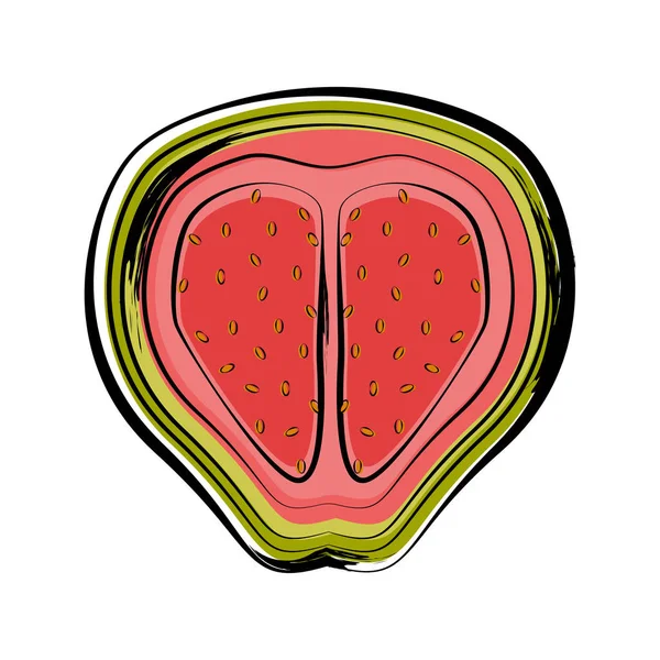 Esboço isolado de um corte guayaba — Vetor de Stock