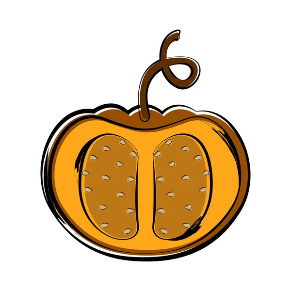 Isolated sketch of a cut pumpkin — Stock Vector