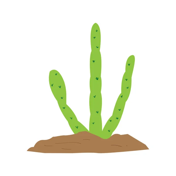 Cactus mignon isolé — Image vectorielle