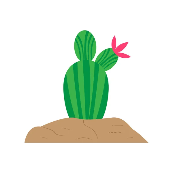 Cactus lindo aislado — Vector de stock