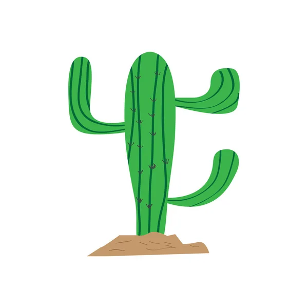 Cactus carino isolato — Vettoriale Stock