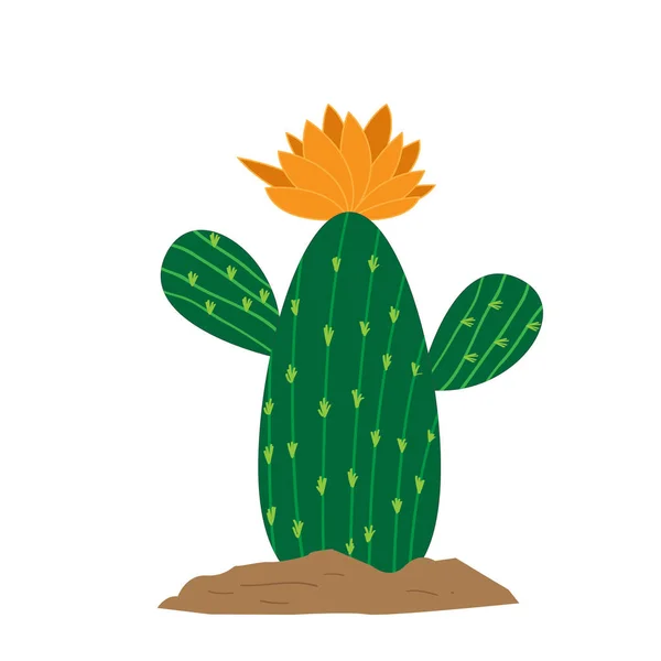 Isolated cute cactus — Stock Vector