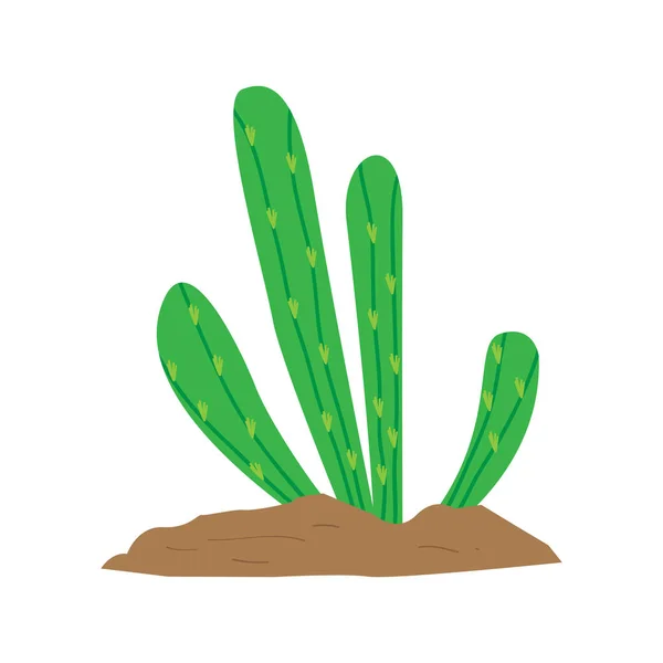 Isolated cute cactus — Stock Vector