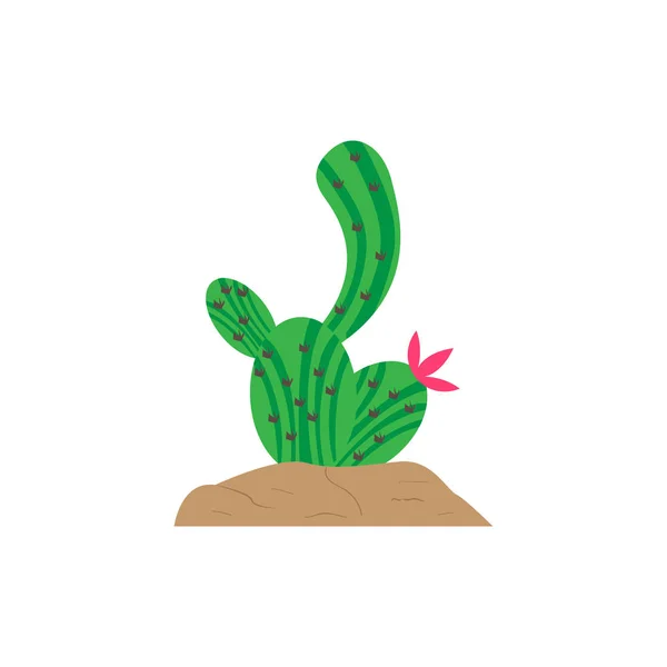 Cactus lindo aislado — Vector de stock