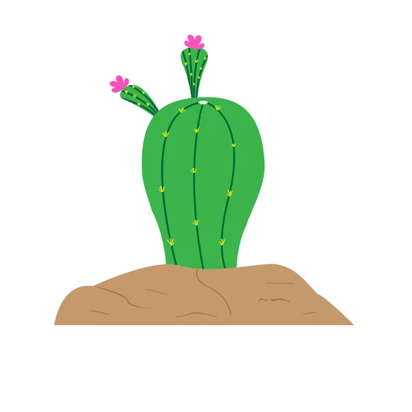 Isolated cute cactus — Stock Vector