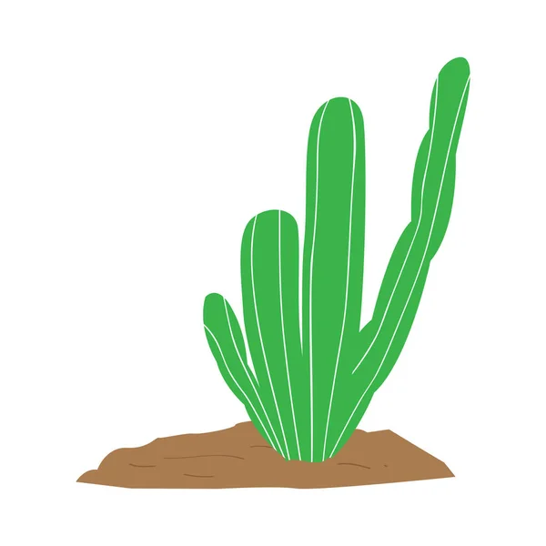 Geïsoleerde schattig cactus — Stockvector