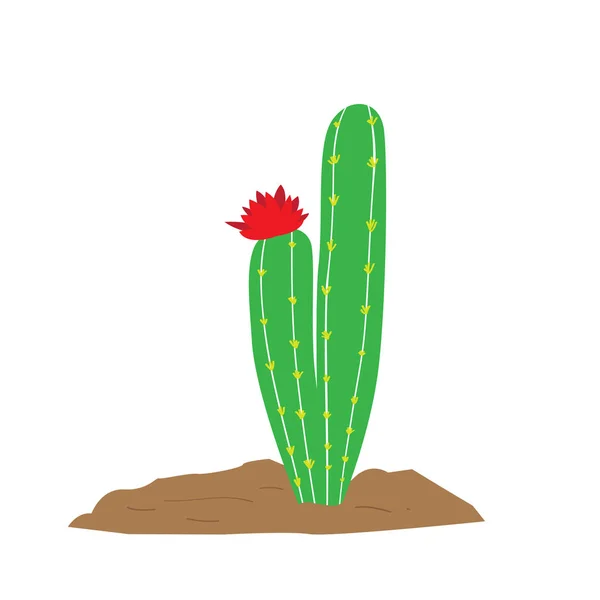 Isolated cute cactus — Stock Vector