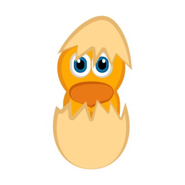 İzole sevimli tavuk